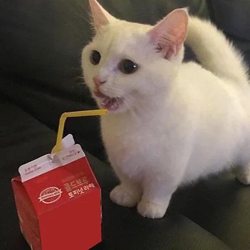 Sticker clothess_inside - 1