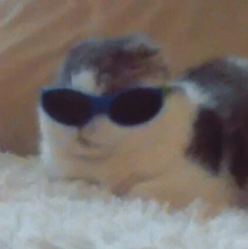 Sticker clothess_inside - 1