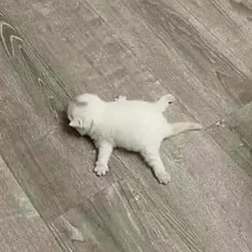 Стикер closticks3! @clothing_insider - 11