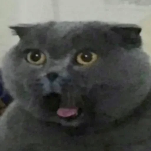 Стикер closticks3! @clothing_insider - 9