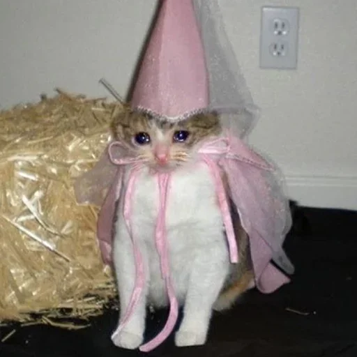 Стикер closticks3! @clothing_insider - 8