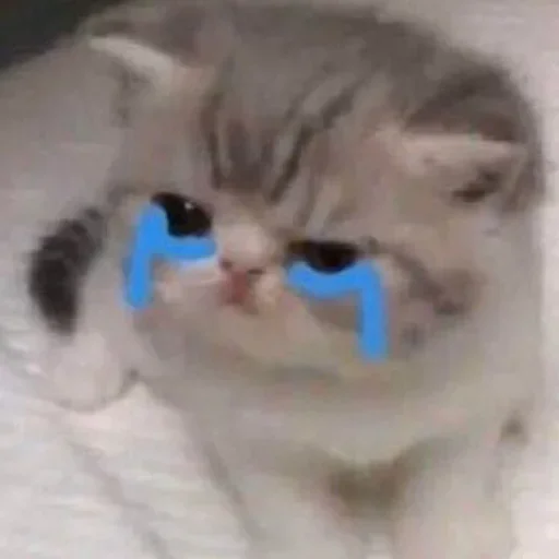 Стикер closticks3! @clothing_insider - 0