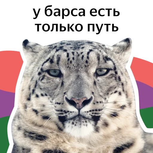 Sticker clouds_and_ai - 1