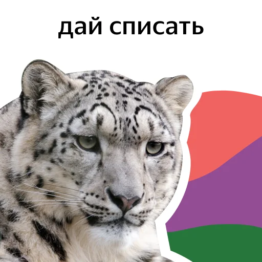 Sticker clouds_and_ai - 1