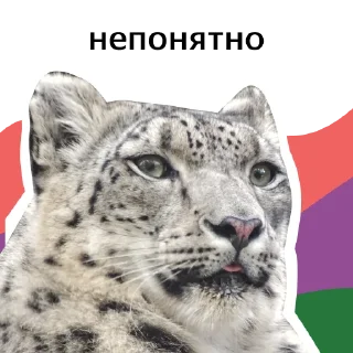 Sticker УРОК ЦИФРЫ х ЯНДЕКС - 3