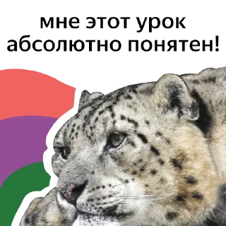 Sticker УРОК ЦИФРЫ х ЯНДЕКС - 8