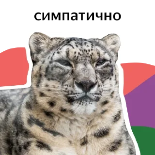 Sticker УРОК ЦИФРЫ х ЯНДЕКС - 0