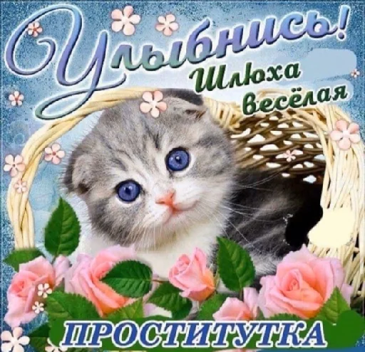 small to medium-sized cats flower text