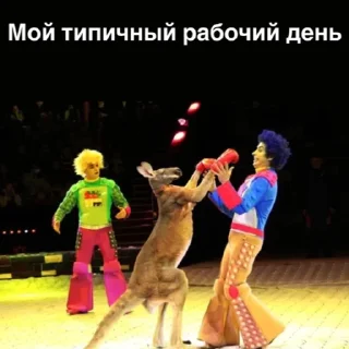 Sticker clownolleagues - 9