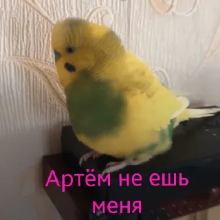 Sticker чоо смиттити - 1