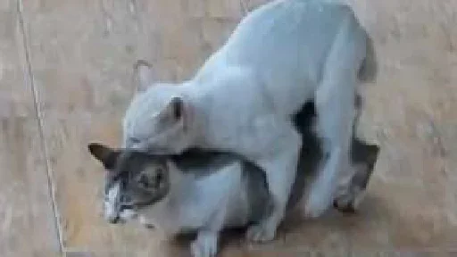 Sticker Цмок в пупок - 8