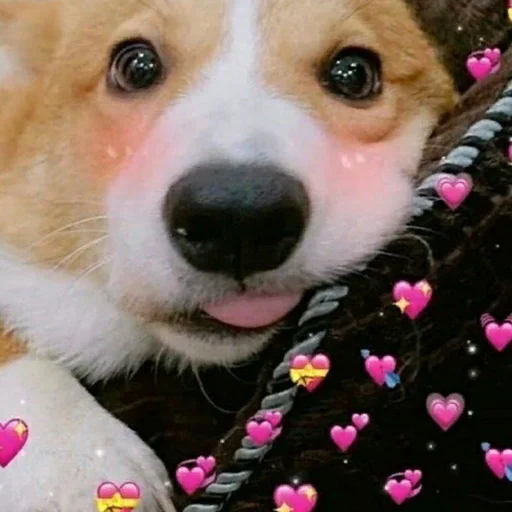 Sticker Цмок в пупок - 7