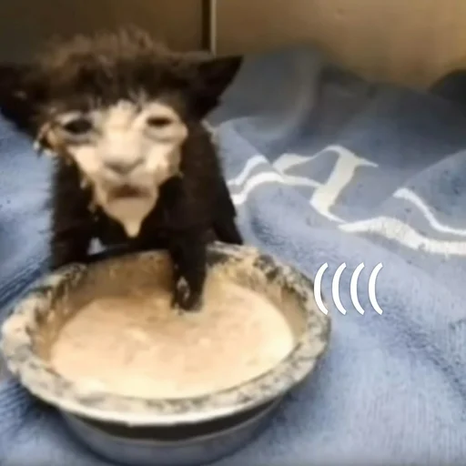 Sticker Цмок в пупок - 2