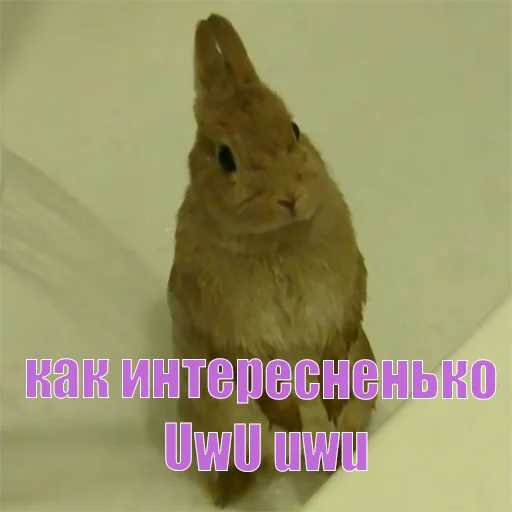 Sticker Цмок в пупок - 1