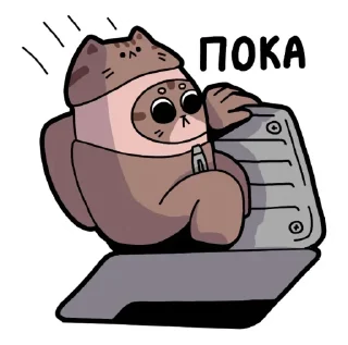 Стикер Стикеры Кокоа @Komaru_GIF - 10