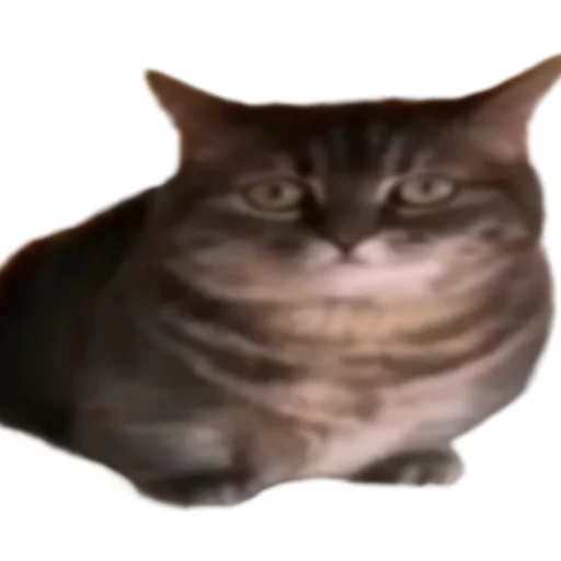 Стикер cocoa_vahui1 - 1