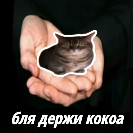 Стикер cocoa_vahui1 - 1