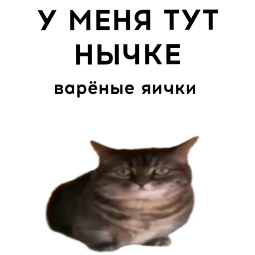 Sticker cocoa_vahui1 - 1