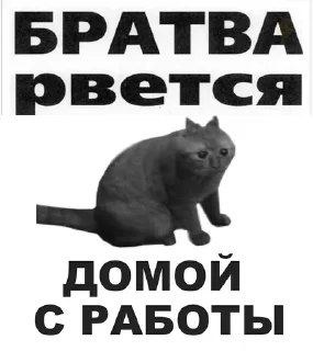 Стикер тише чурки - 0