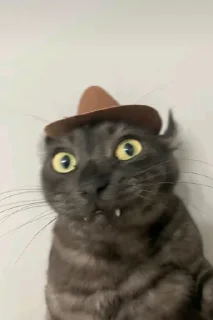 Стикер тише чурки - 10