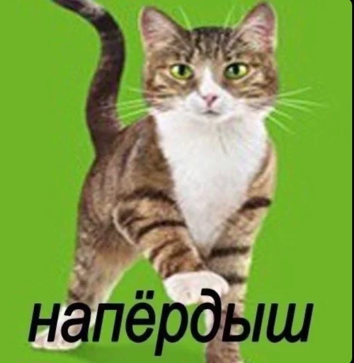 Стикер соска нериалка by @fStikBot - 11