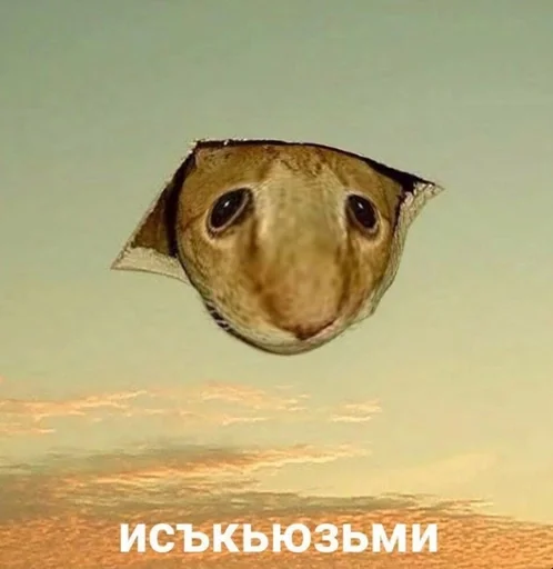 Стикер соска нериалка by @fStikBot - 7