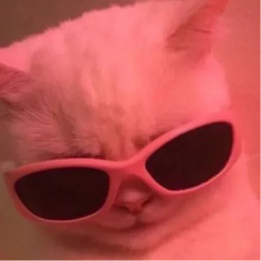 кошки малого и среднего размера защитные очки аксессуар