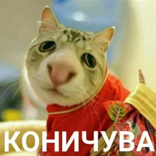 животное млекопитающее кошка