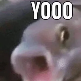 Sticker coodswallopp - 4