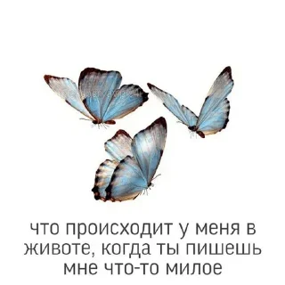 Sticker Любовные пикчи @colored_emotions - 0
