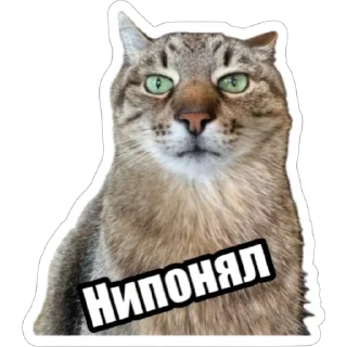 Sticker Экстракт от @colored_emotions - 9