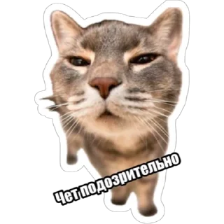 Sticker Экстракт от @colored_emotions - 5