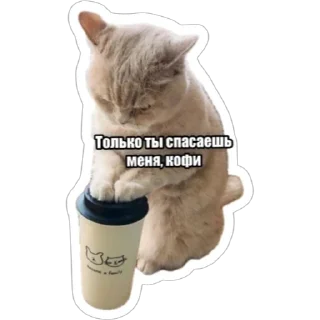 Sticker Экстракт от @colored_emotions - 2