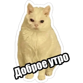 Sticker Экстракт от @colored_emotions - 0