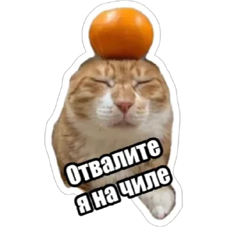 Sticker Экстракт от @colored_emotions - 3