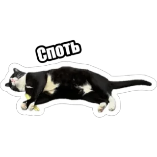 Sticker Экстракт от @colored_emotions - 6