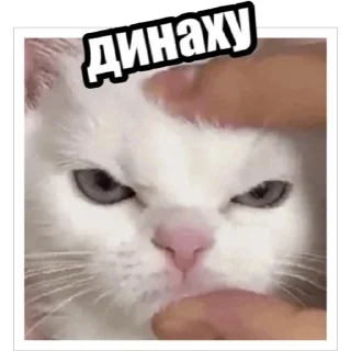 Sticker Экстракт от @colored_emotions - 4