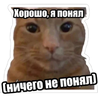 Sticker Экстракт от @colored_emotions - 1