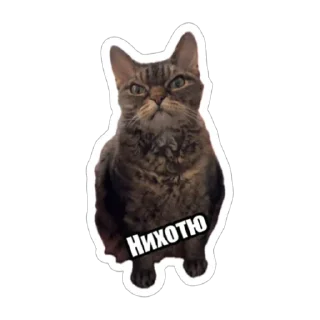 Sticker Экстракт от @colored_emotions - 7