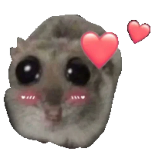 Хомяцек @colored_emotions - 