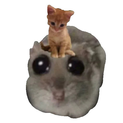 Sticker coloredhamster - 1