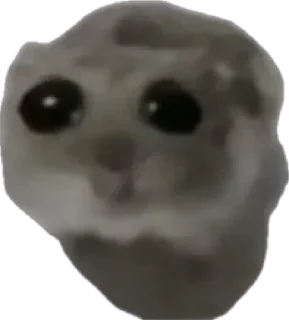 Стикер Хомяцек @colored_emotions - 6