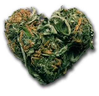 Стикер colorist - 10