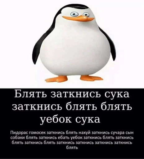 СМС водная птица пингвин