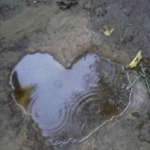 Стикер comecomefuckapartinhere - 1