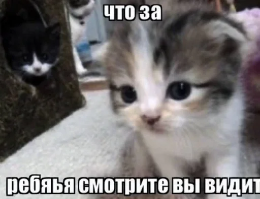 Sticker comecomefuckapartinhere - 1