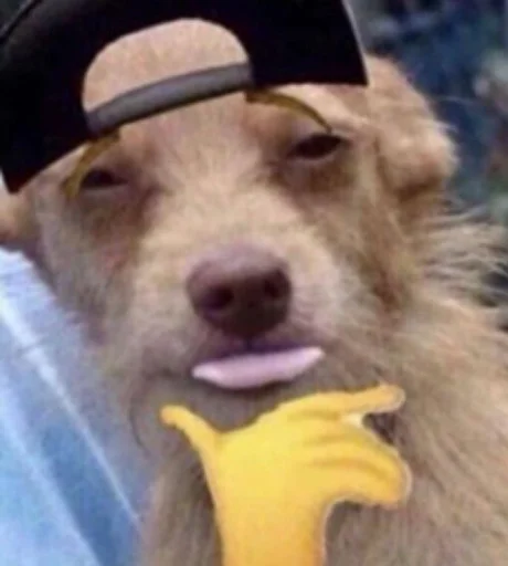 Sticker condiapack - 1