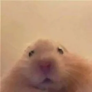 Стикер 🥸 @conaliinser - 3