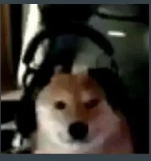 Стикер 🥸 @conaliinser - 7