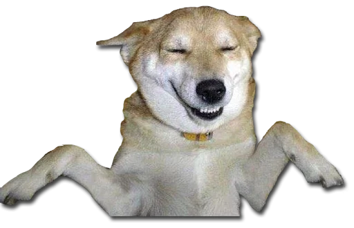 Стикер Конгратулейшен - 11